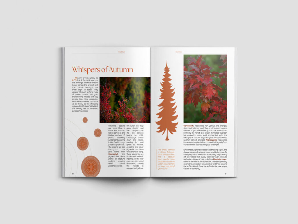 Earth Keepers Magazine ek mockup6