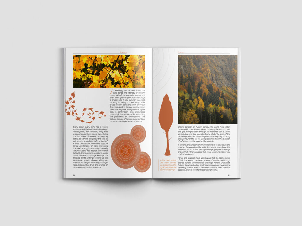 Earth Keepers Magazine ek mockup7